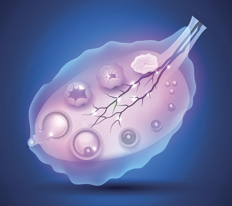 2026年合肥试管婴儿医院排名前十强榜单：安徽医科大学附属医院领衔，附37岁女性试管收费详情解析